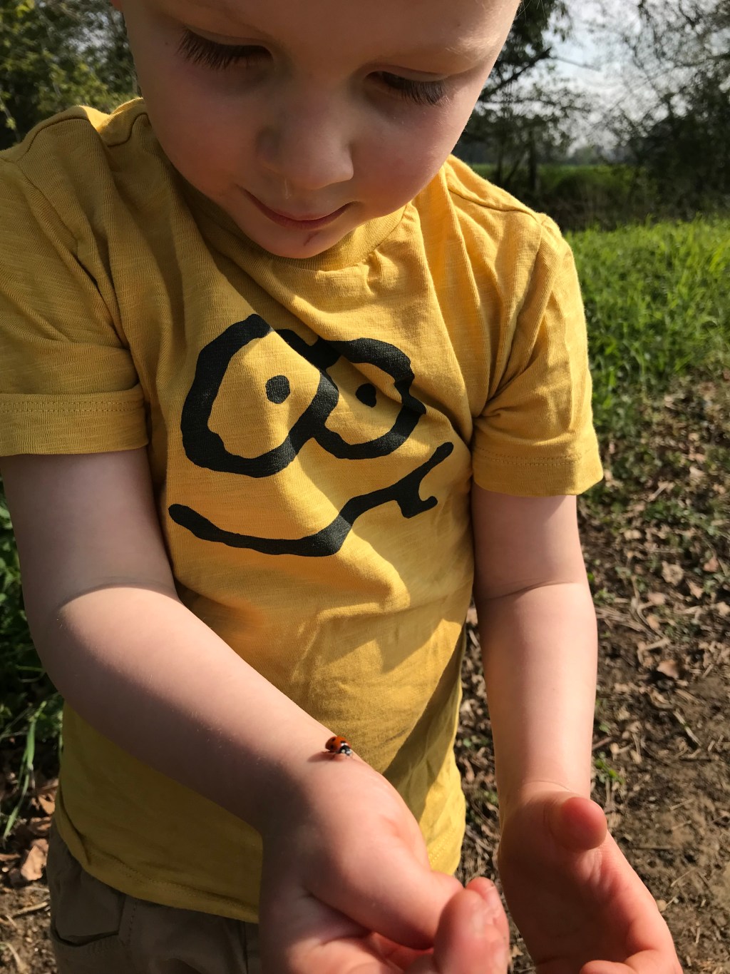 The wonder of&nbsp;nature